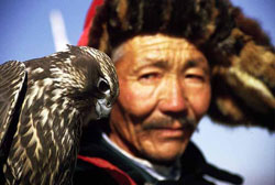 Kazak Nomad with trained hawk